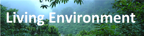 Living Environment